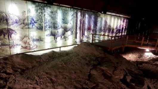 Megújult az Ipolytarnóci Ősmaradványok Természetvédelmi Terület honlapja Megújult az Ipolytarnóci Ősmaradványok Természetvédelmi Terület honlapja
