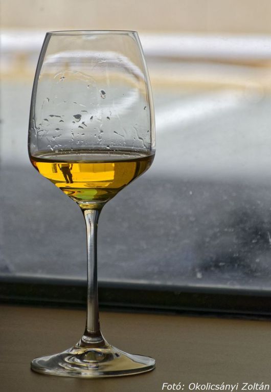 Nemzetközi Sommelier Diplomáért lehet ismét vizsgázni Budapesten Nemzetközi Sommelier Diplomáért lehet ismét vizsgázni Budapesten