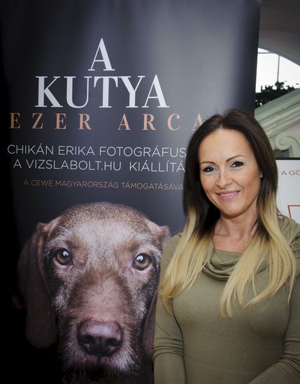Csodaszép kutyák költöztek a Gödöllői Királyi Kastélyba Csodaszép kutyák költöztek a Gödöllői Királyi Kastélyba