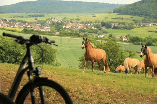Freie Fahrt für landidyllischen Radurlaub in ganz Deutschland Freie Fahrt für landidyllischen Radurlaub in ganz Deutschland