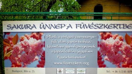Fel a Fűvészkertbe